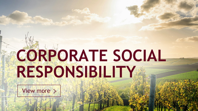 CORPORATE SOCIAL RESPONSIBILITY